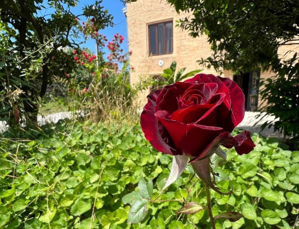 Hotel G I O Samtredia Bagian luar foto
