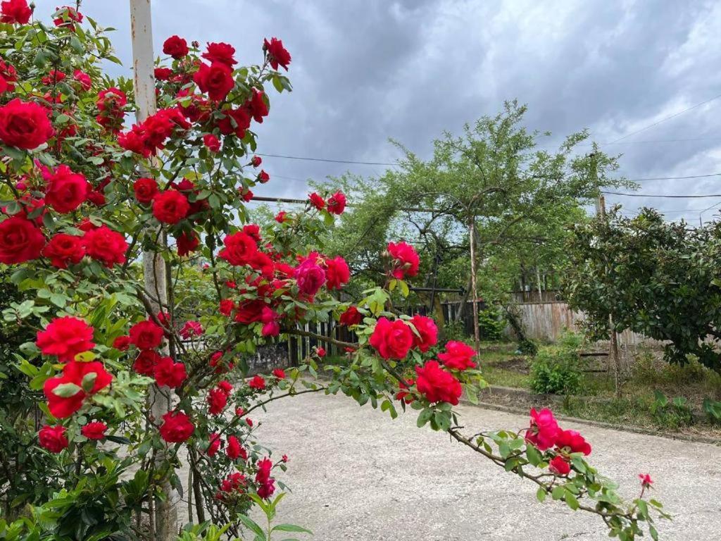 Hotel G I O Samtredia Bagian luar foto