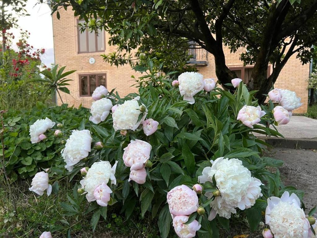 Hotel G I O Samtredia Bagian luar foto