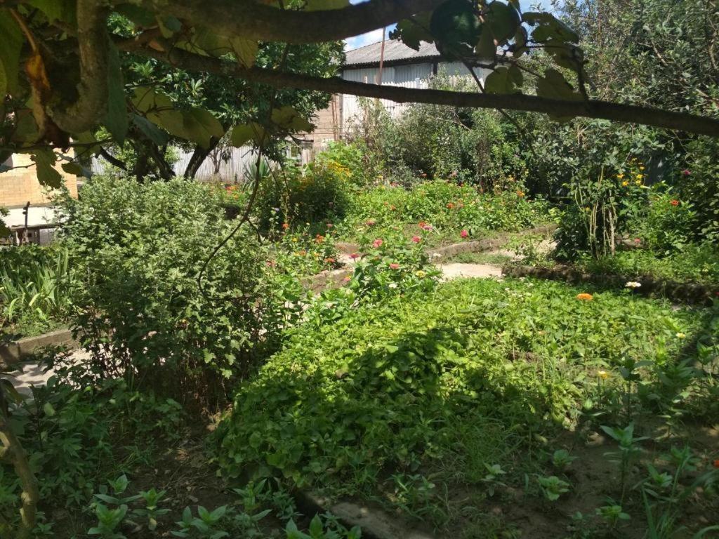 Hotel G I O Samtredia Bagian luar foto