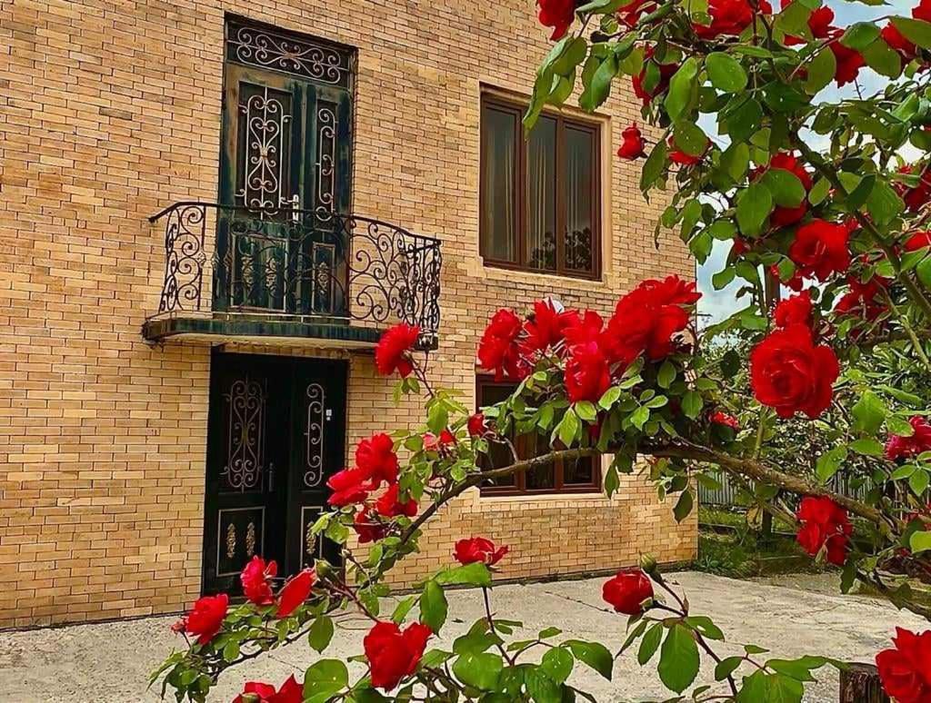 Hotel G I O Samtredia Bagian luar foto